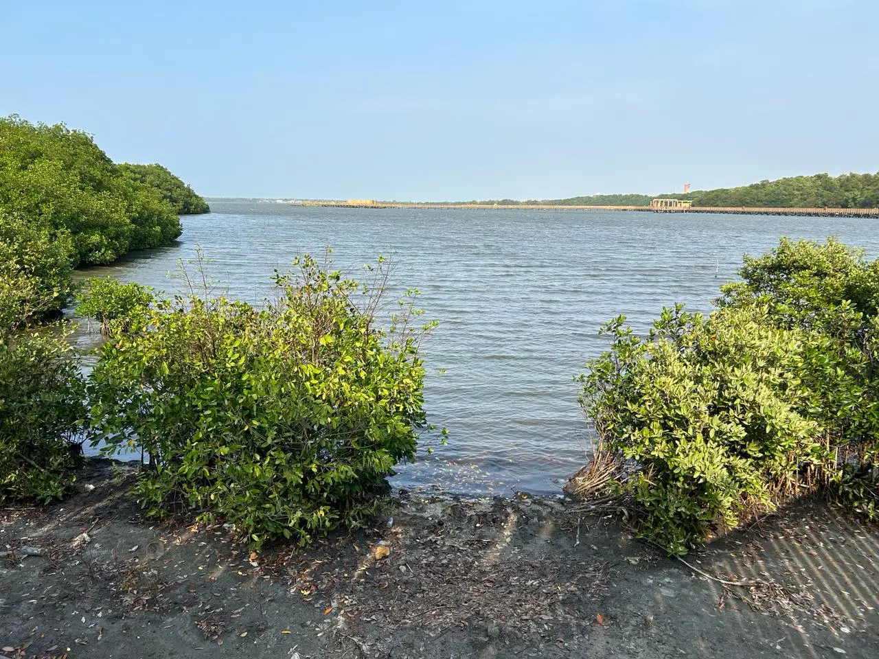 Ciénaga de Mallorquín in Barranquilla